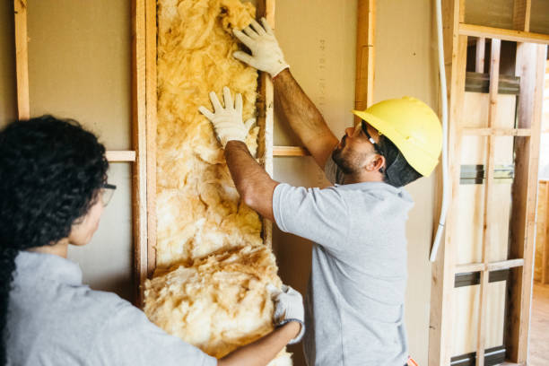 Best Commercial Insulation Contractor  in Dock Junction, GA