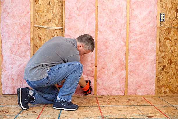 Best Crawl Space Insulation  in Dock Junction, GA