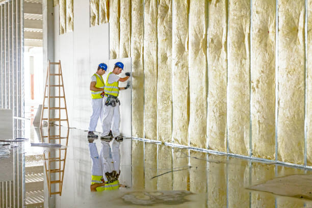 Best Insulation Contractor Near Me  in Dock Junction, GA